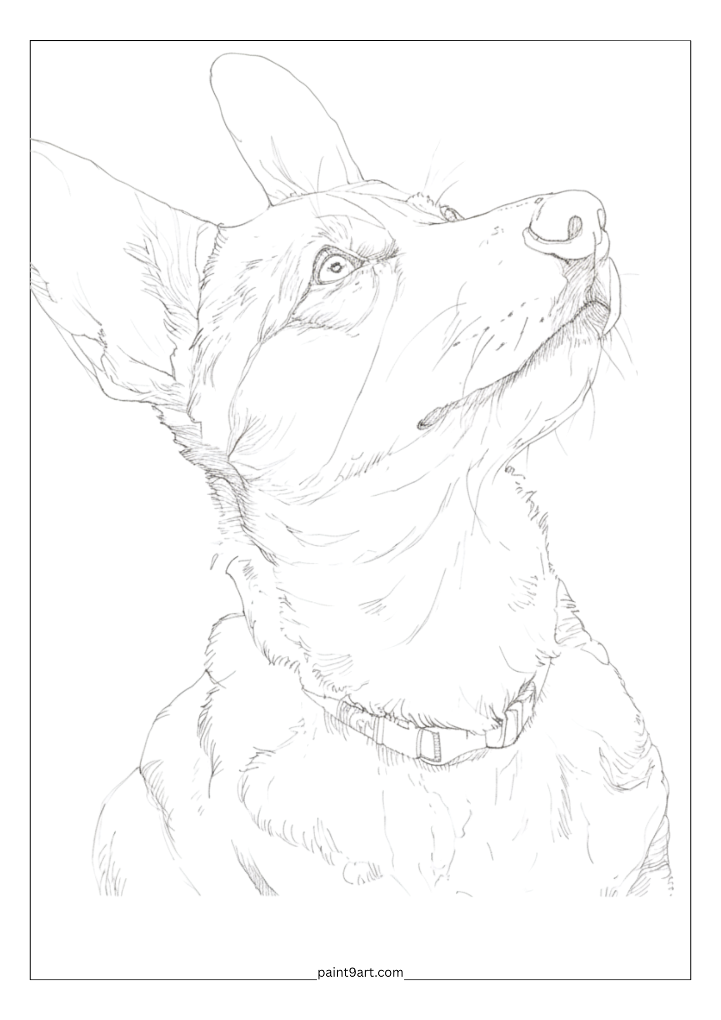 20 Cute Watercolor Pet Printable Coloring Pages (PDF Download)