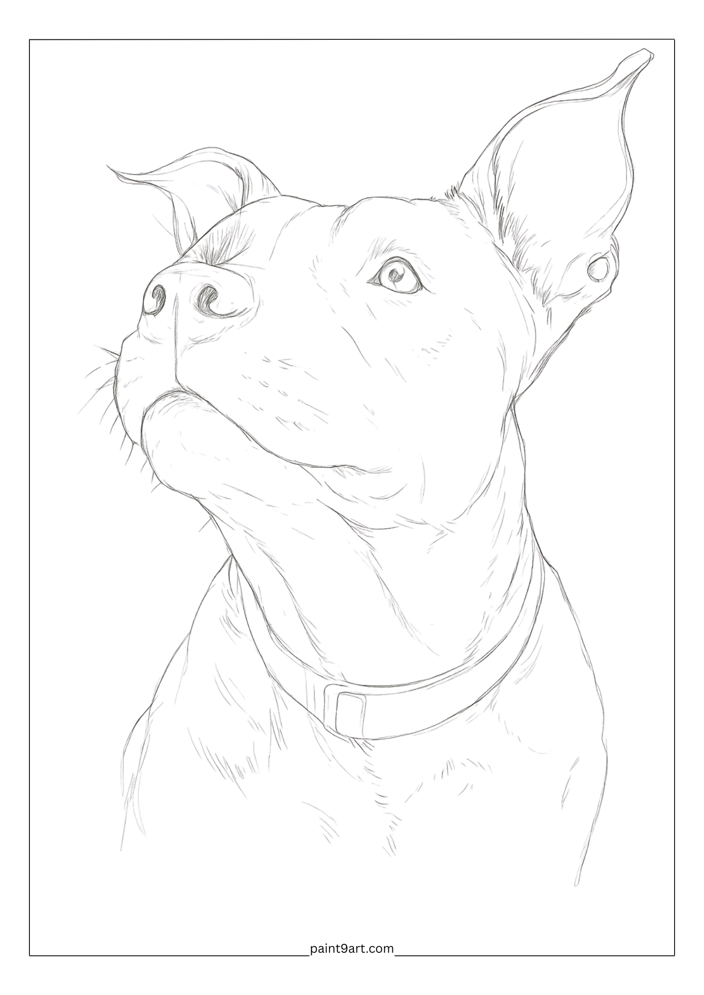 20 Cute Watercolor Pet Printable Coloring Pages (PDF Download)